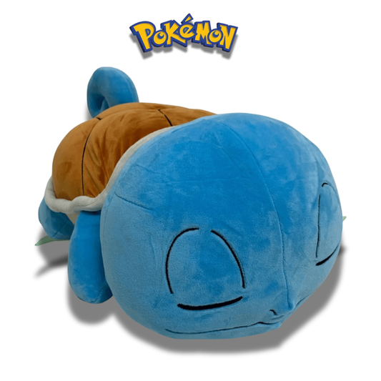 Pokémon Sleeping Squirtle